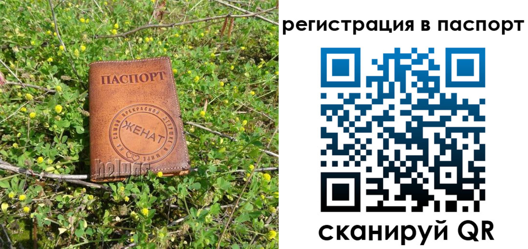 прописка законно в Данилове
